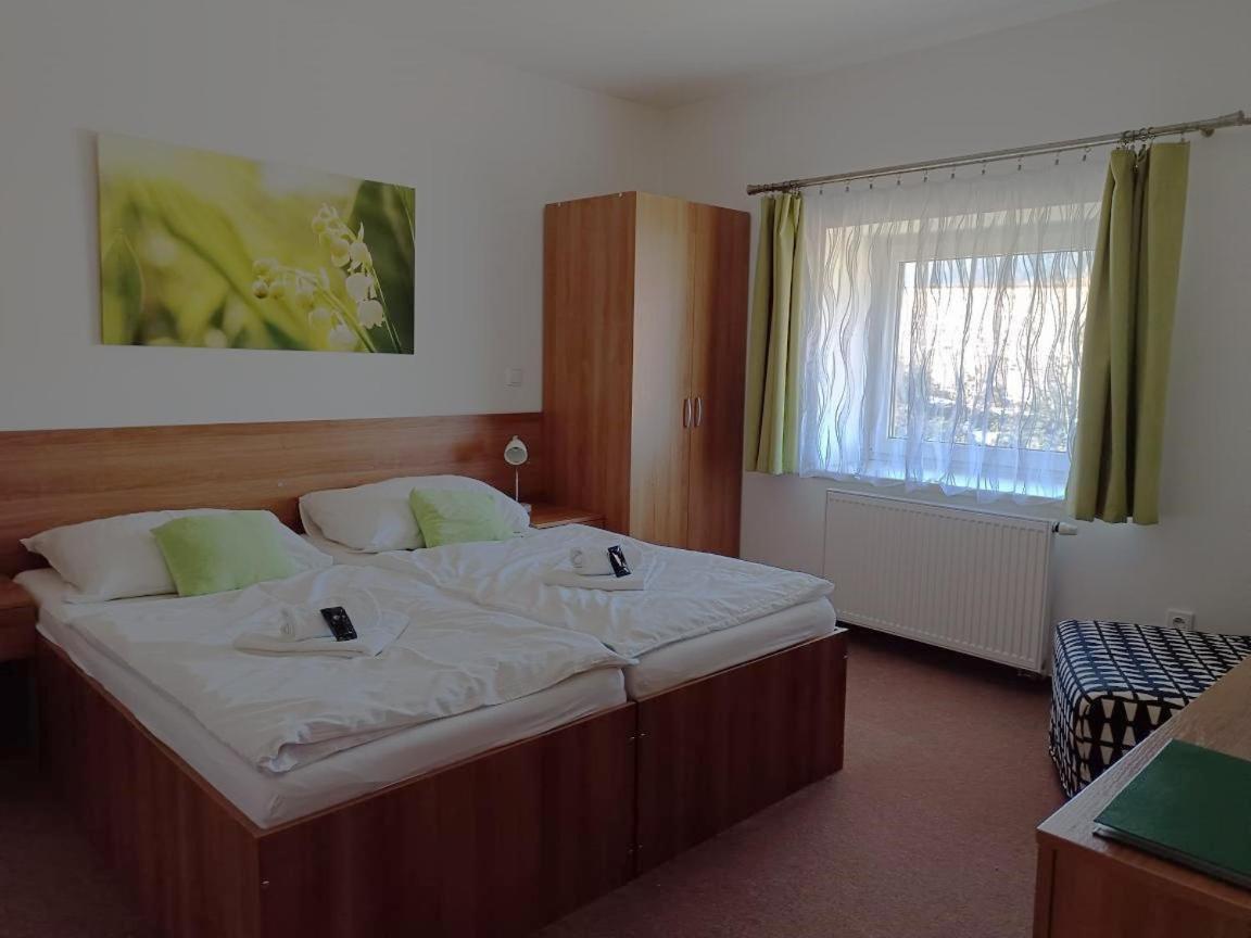 Penzion Jecminek Červená Voda Bagian luar foto