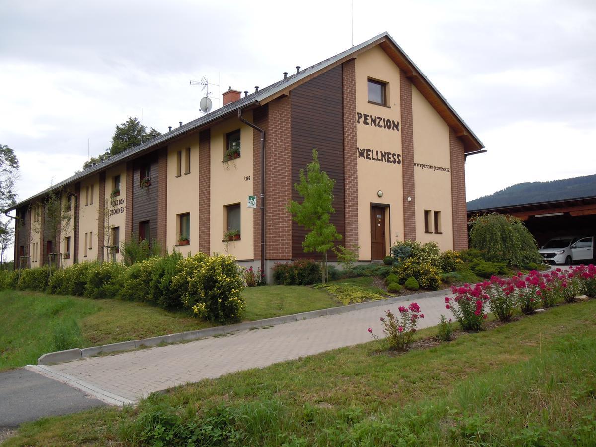 Penzion Jecminek Červená Voda Bagian luar foto